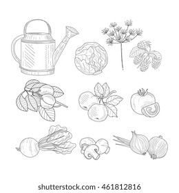 Farm Product Clipart Elements Hand Drawn Realistic Sketch
