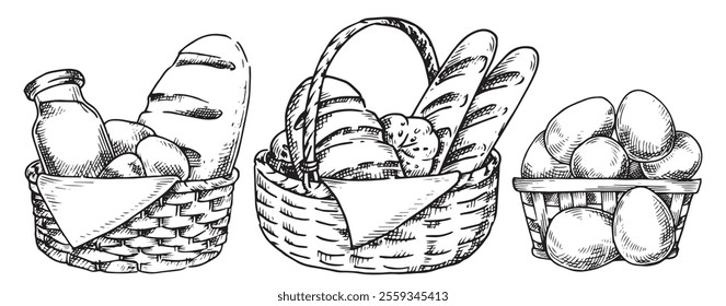 farm products in baskets, eggs, milk, bread. Vector illustration in sketch style. vintage