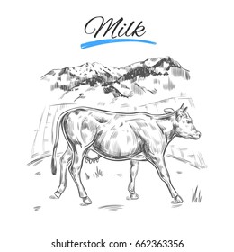 Farm products concept. Landscape with cow. Vector hand drawn illustration