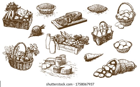 farm products - food, set of hand-drawn illustrations