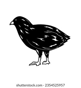 Farm Quail Icon, True Black Icon