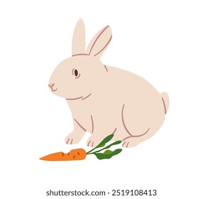 Coelho de fazenda comendo cenoura. Bela alimentação de coelho com vegetais. Animais domésticos com comida agrícola. Fauna rural da aldeia. Ilustração vetorial gráfica plana isolada no plano de fundo branco