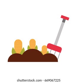 farm rake with corn cultivate