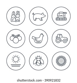 Farm, ranch line icons in circles, tractor, harvester, hen, pig, crop, vegetables icons, vector illustration