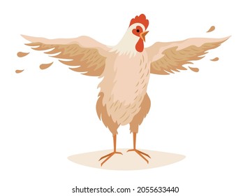 Farm Rooster Flap Wings with Feathers Flying around. Poultry Farm Male Bird, Cock or Cockerel Domestic Farmyard Fowl, Farming Production Isolated on White Background. Cartoon Vector Illustration