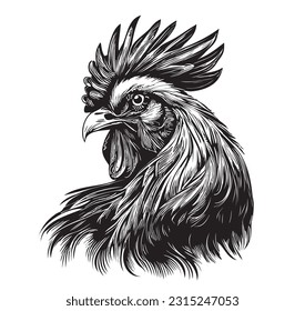 Farm rooster head hand drawn sketch in doodle style illustration