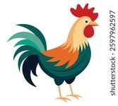 Farm Rooster in Natural Pose Isolated on White Background