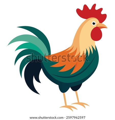 Farm Rooster in Natural Pose Isolated on White Background