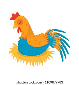 Farm rooster sleeping in his nest. Male domestic fowl with bright blue-orange feathers and red scallop. Flat vector icon