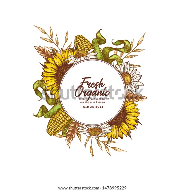 Farm round\
design template. Engraved style illustration. Oat, wheat, corn,\
sunflower, daisy. Vector\
illustration