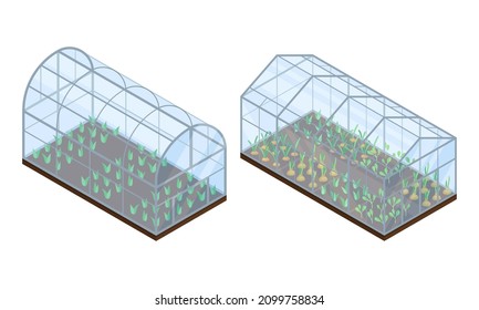 Farm rural buildings set. Glass greenhouses with seedlings isometric vector illustration