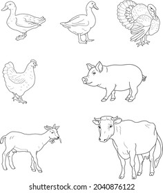 Farm rural and domestic meat animals set. Duck, Goose, Turkey, Cow, Chicken, Pig, Goat.  Vector illustration isolated on white background. Farm Animals set.