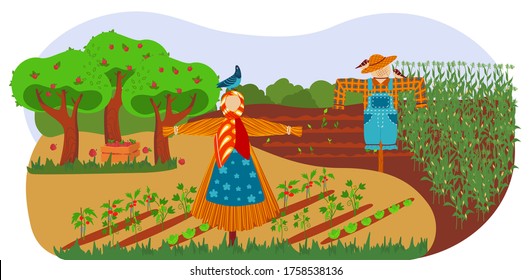 Farm scarecrows on field with harvest, autumn season, thanksgiving holiday cartoon vector illustration. Farm straw stuffed scarecrows with craw birds. Agriculture, harvesting field crop guard.