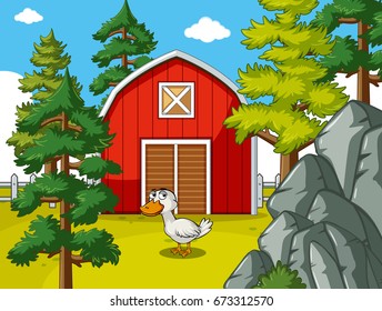 Farm scene with duck in front of red barn illustration