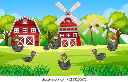 Farm scene with many ducks in the field illustration