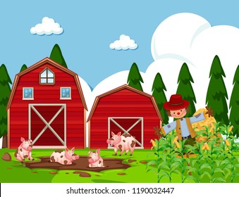 Farm scene with pigs in mud illustration