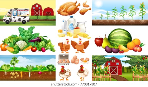 Farm scenes with vegetables and chickens illustration