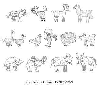 Farm set animals coloring book educational illustration for children. Set cute cow, buffolo, sheep, duck, rooster, horse colouring page. Vector black white outline cartoon characters