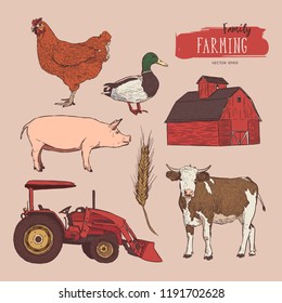 Farm set. Hand drawn illustration of cow, barn, hen, grain, tractor and duck.