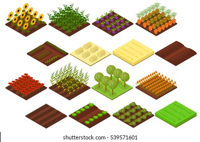 Farm Set Isometric Basic Elements Agriculture View for Web, App. Vector illustration