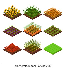 Farm Set Isometric View Bed Basic Element Agriculture With Flowers, Vegetables And Grass For Web, App. Vector Illustration