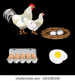 Farm set with rooster, hen and eggs. Vector illustration isolated on black background