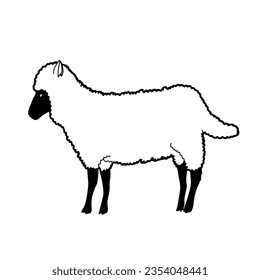Farm Sheep Icon, True Black Icon
