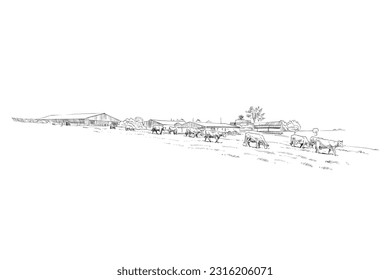 Farm sketch. Cows are grazing in a meadow. Rural landscape hand drawn vector illustration.