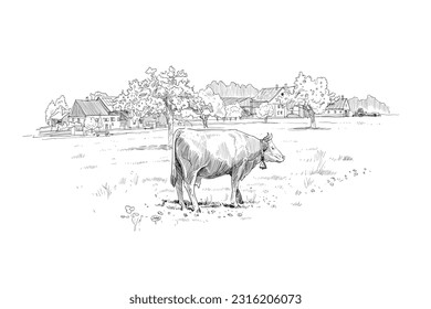 Farm sketch. Cows are grazing in a meadow. Rural landscape hand drawn vector illustration.