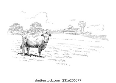 Farm sketch. Cows are grazing in a meadow. Rural landscape hand drawn vector illustration.