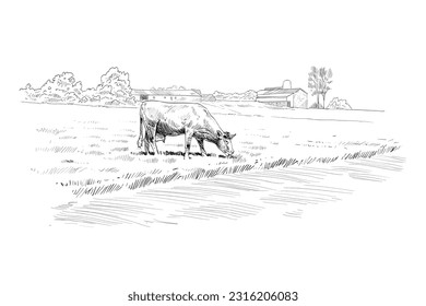 Farm sketch. Cows are grazing in a meadow. Rural landscape hand drawn vector illustration.