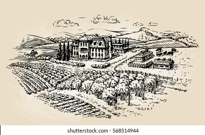 Farm sketch. Farming, agriculture, vineyard. Vector illustration