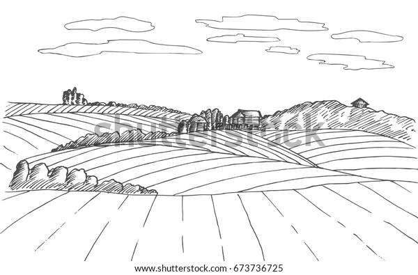 Farm sketch. Hand drawn landscape with\
plant. Vector\
illustration