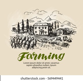 Farm sketch. Rural landscape, agriculture, farming, vineyard vector illustration