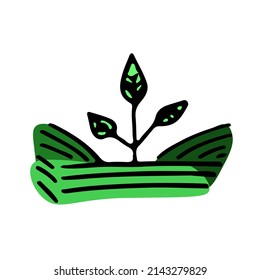 Farm sprout of potatoes agricultural sketch vector icon. Ranch field, rural countryside. Harvest scarcity concept, industry problems symbol. Hand drawn bio illustration isolated on white.
