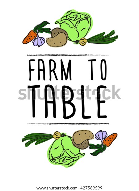 Farm to table products/food/vegetable. Vignette\
with vegetables - carrots, cabbage, onions, garlic, tomato, potato.\
VECTOR.
