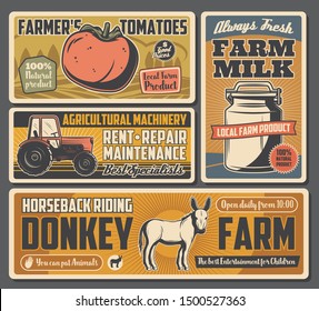 Farm tomatoes, agricultural dairy products, tractor and riding on donkeys. Vector natural food production, agriculture. Milk and vegetables harvest, livestock