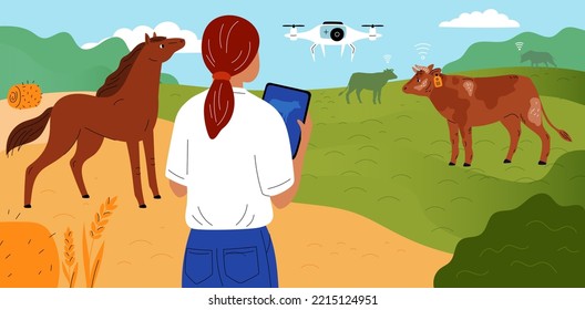 Farm tracking innovation technologies. Smart cattle grazing. Electronic shepherd. Monitoring by drone. Worker with digital tablet for domestic animals remote control