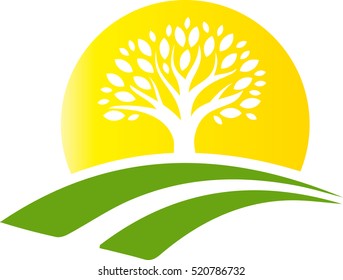 Farm Tree and the sun