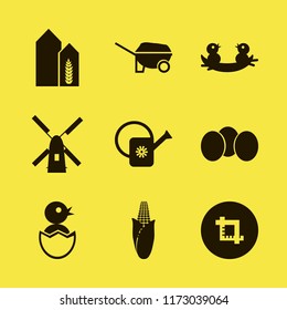 farm vector icons set. with corn, eggs, nest chicks and watering can in set