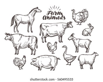 Farm, vector sketch. Collection animals such as horse, cow, bull, sheep, pig, rooster, chicken, hen, goose, rabbit, turkey, goat