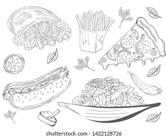 Farm vegetable and fast food poster. Fresh veggies. Vector illustration sketch