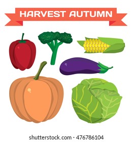 Farm vegetables flat vector cartoon set. Organic healthy food symbols. Harvest autumn infographic elements. Agriculture design