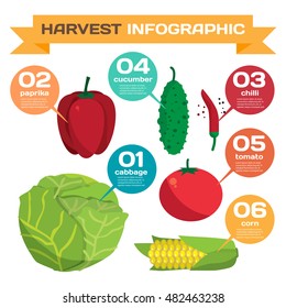 Farm vegetables flat vector cartoon set infographic. Organic healthy food symbols. Harvest autumn elements. Agriculture design