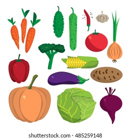 Farm vegetables flat vector cartoon set. Organic healthy food symbols. Harvest autumn infographic elements. Agriculture design