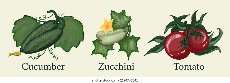 Farm vegetables hand drawn. Vector illustration.