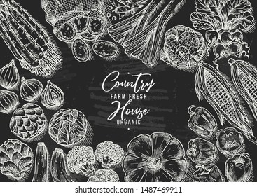 Farm vegetables on chalkboard background. Top view. Growing concept. Organic fresh vegetables. Summer food concept. Vector illustration