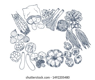 Farm vegetables on white background. Top view. Growing concept. Handdrawn. Organic fresh vegetables. Summer food. Vector illustration