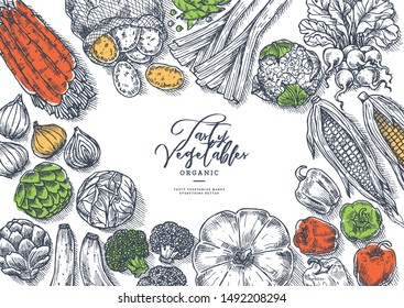 Farm vegetables on white background. Top view. Growing concept. Organic fresh vegetables. Harvest design template. Vector illustration