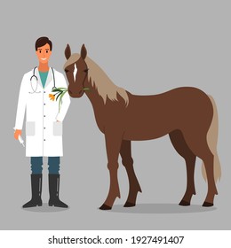 Dibujo conceptual veterinario y de caballo de granja. Ilustración vectorial en estilo plano.